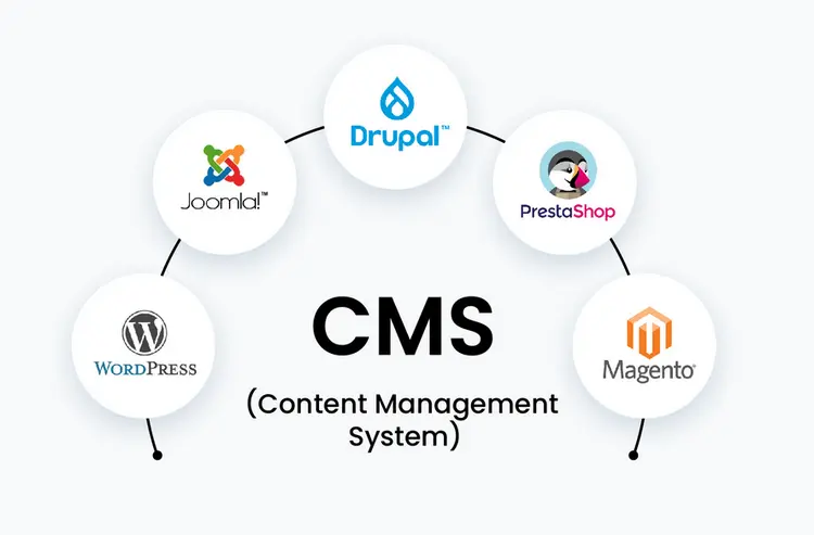 Enterprise Web Development & CMS